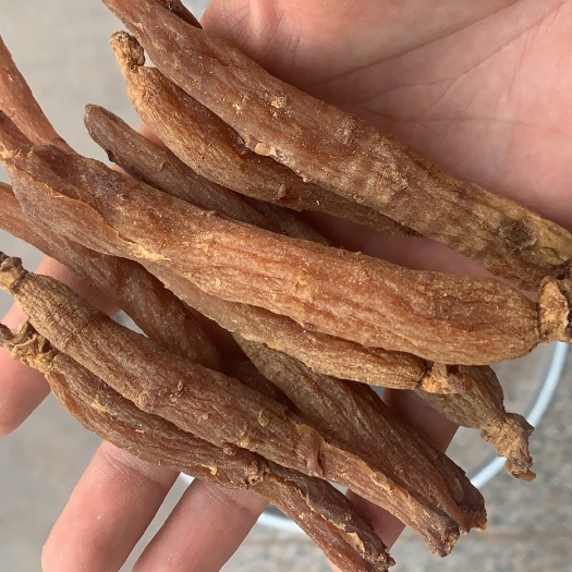 红参 红参个子 单支10克左右