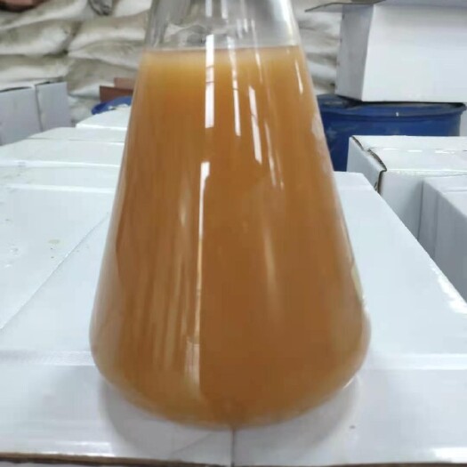 昌乐县液体丁酸梭菌水产养殖专用
