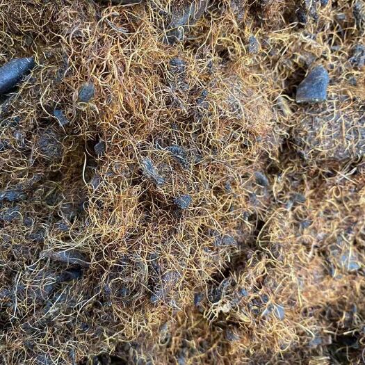 动物蛋白猪毛蛋白75.5