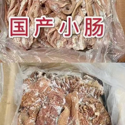 牛小肠熟牛肠烧烤速冻烤牛肠牛杂新鲜冷冻批半熟牛小肠