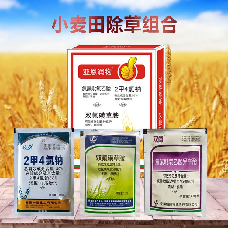 郑州小麦田除草剂氯氟吡氧乙酸二甲四氯双氟磺草胺阔叶杂草