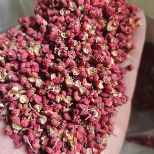 澄城县陕西大红袍花椒颗粒大，味麻，基地直供，一手货源，量大从优。