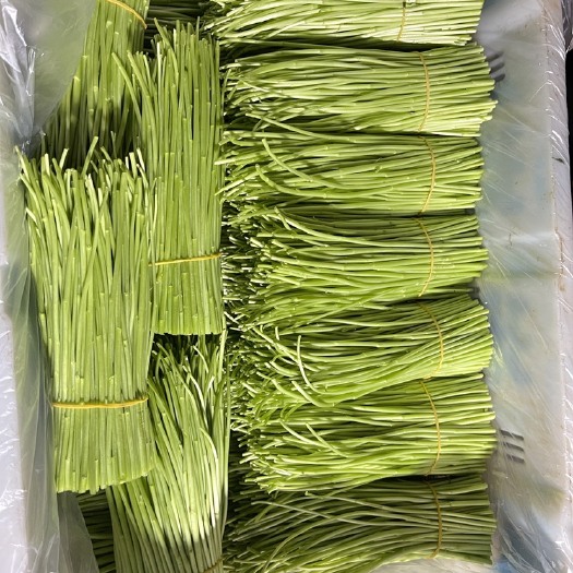 曲靖云南嫩芦蒿