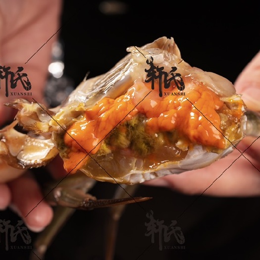 红膏蟹生猛满膏