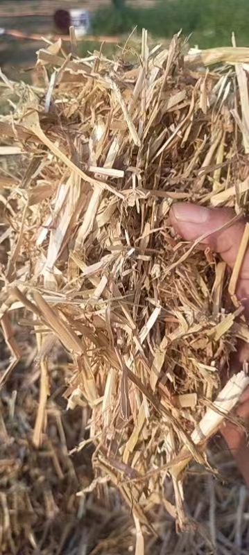 凤台县小麦秸秆