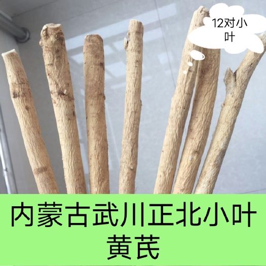 武川县内蒙古武川道地老区正北小叶蒙黄芪俩年生软质棉芪中药材非铁芪