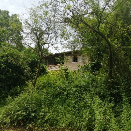 重庆市重庆市巴南区200平民房买断，可重建