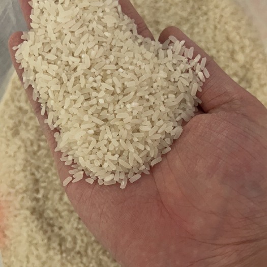 漳州农家米 现碾现卖 剂