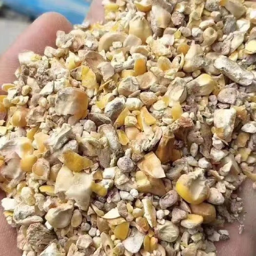 石家庄碎玉米 毛粮 净粮 玉米下脚料，用于养殖 饲料厂添加