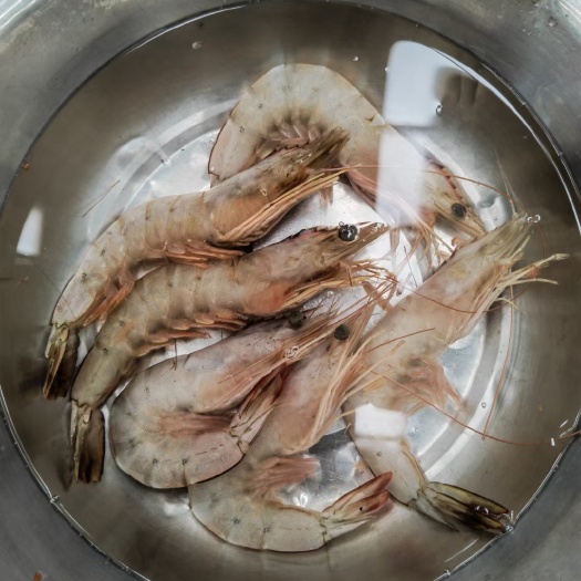 天然虾