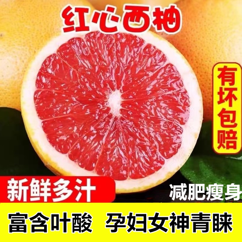 东山县西柚含叶酸时令果新鲜水果水果西柚奶茶店专用新鲜西柚