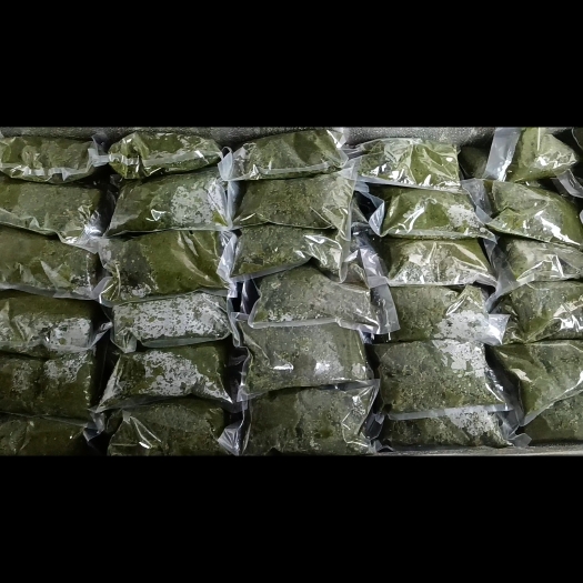 扎鲁特旗内蒙古大草原纯野生韭菜花酱