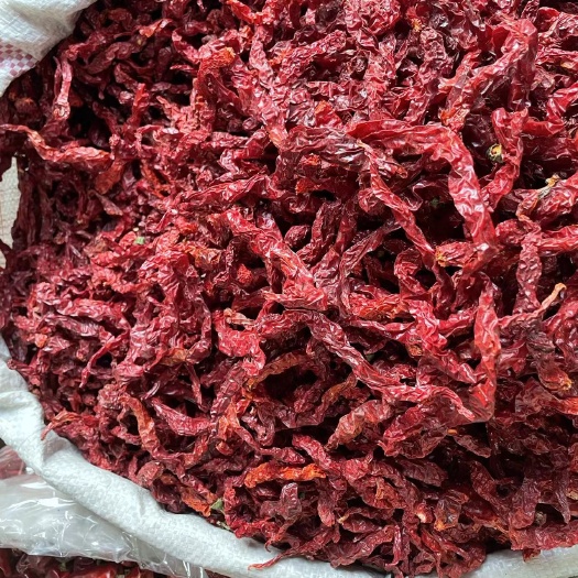 赫章县线椒脱帽精品