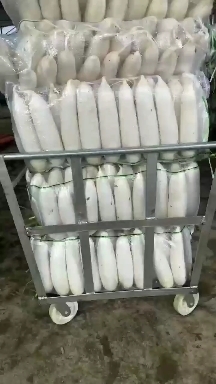 广安四川盆地种植的白萝卜，水分多，口感脆，体型优美，自然环境种植
