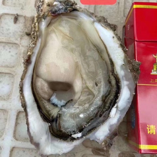 诏安县一手货源，长期供应，场地直供，货源稳定，无中间商