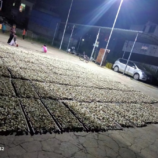平南县陈皮