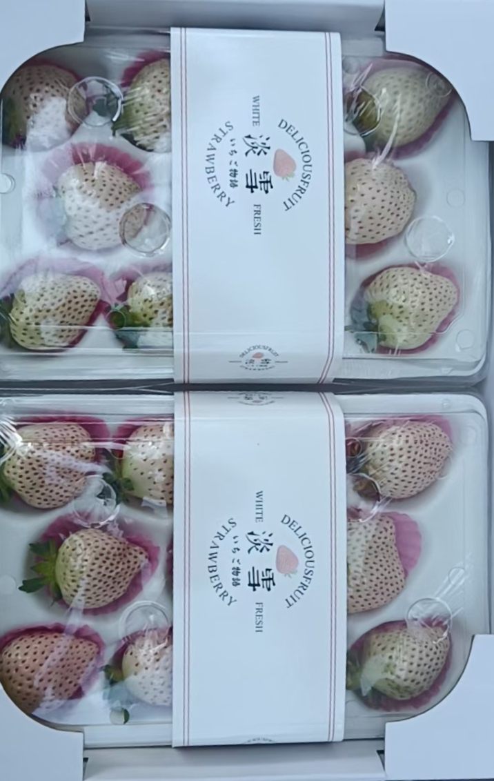 平度市淡雪草莓