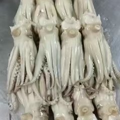 阿根廷鱿鱼头，工厂直销，价格连美，品质鲜美，大众适用，