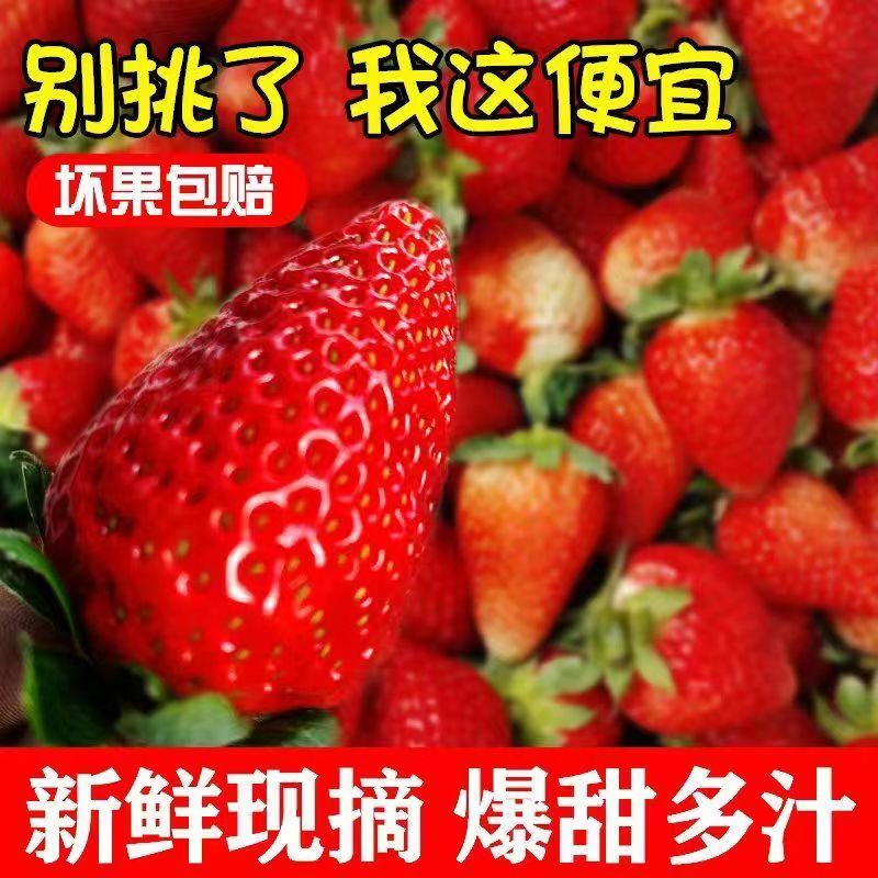 草莓，白草莓，淡雪草莓，牛奶草莓