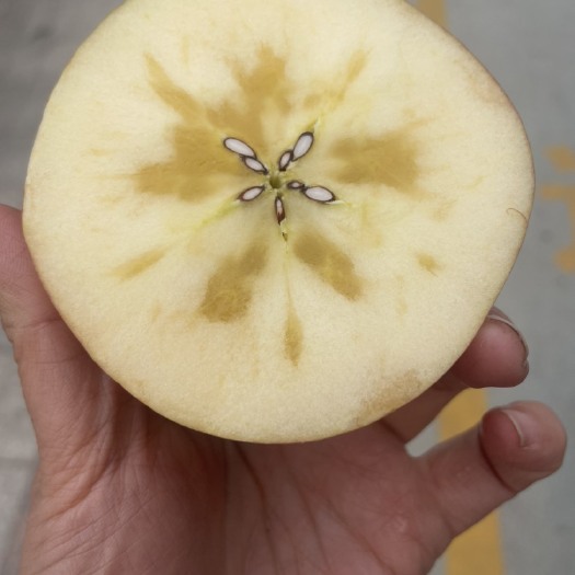 稷山县运城苹果，长枝条红冰糖心