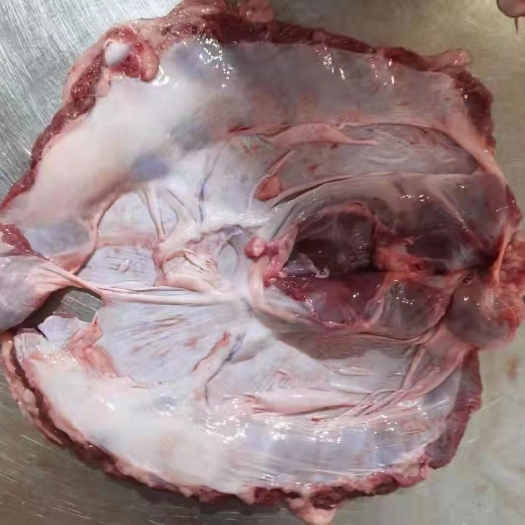 佛山隔山肉，护心肉，连肝肉整块无碎肉