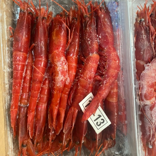 长沙西班牙红魔虾