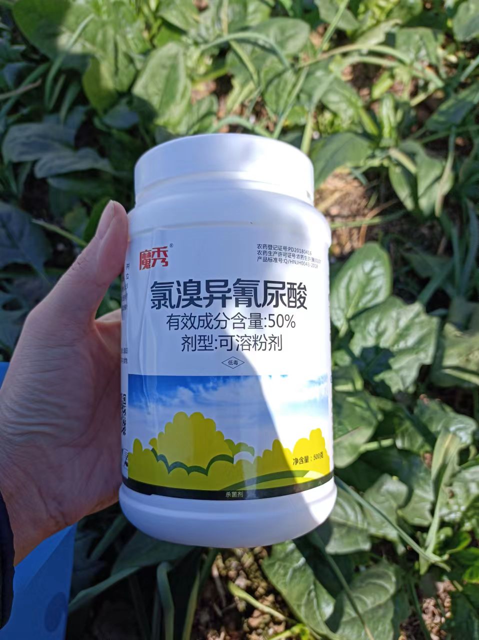 50%氯溴异氰尿酸杀菌剂烟草病毒病