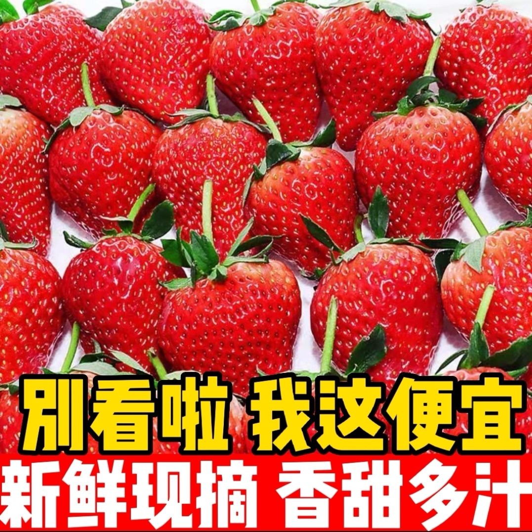 草莓，白草莓，淡雪草莓，牛奶草莓