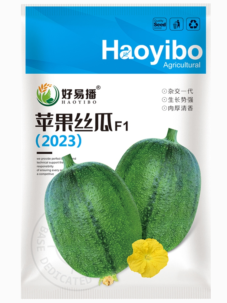 苹果丝瓜种子蔬菜种子2023苹果丝瓜种子短肉丝瓜种籽