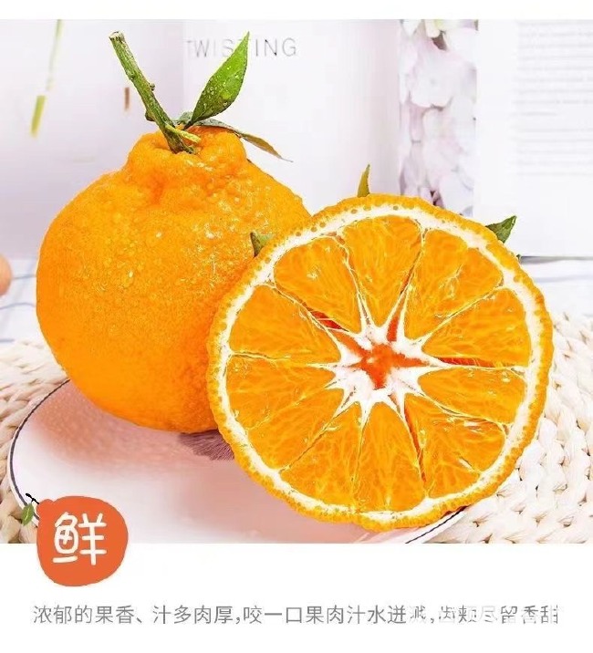 【爆炸甜】四川不知火丑橘丑八怪橘子当季新鲜水果耙耙柑橘整箱批