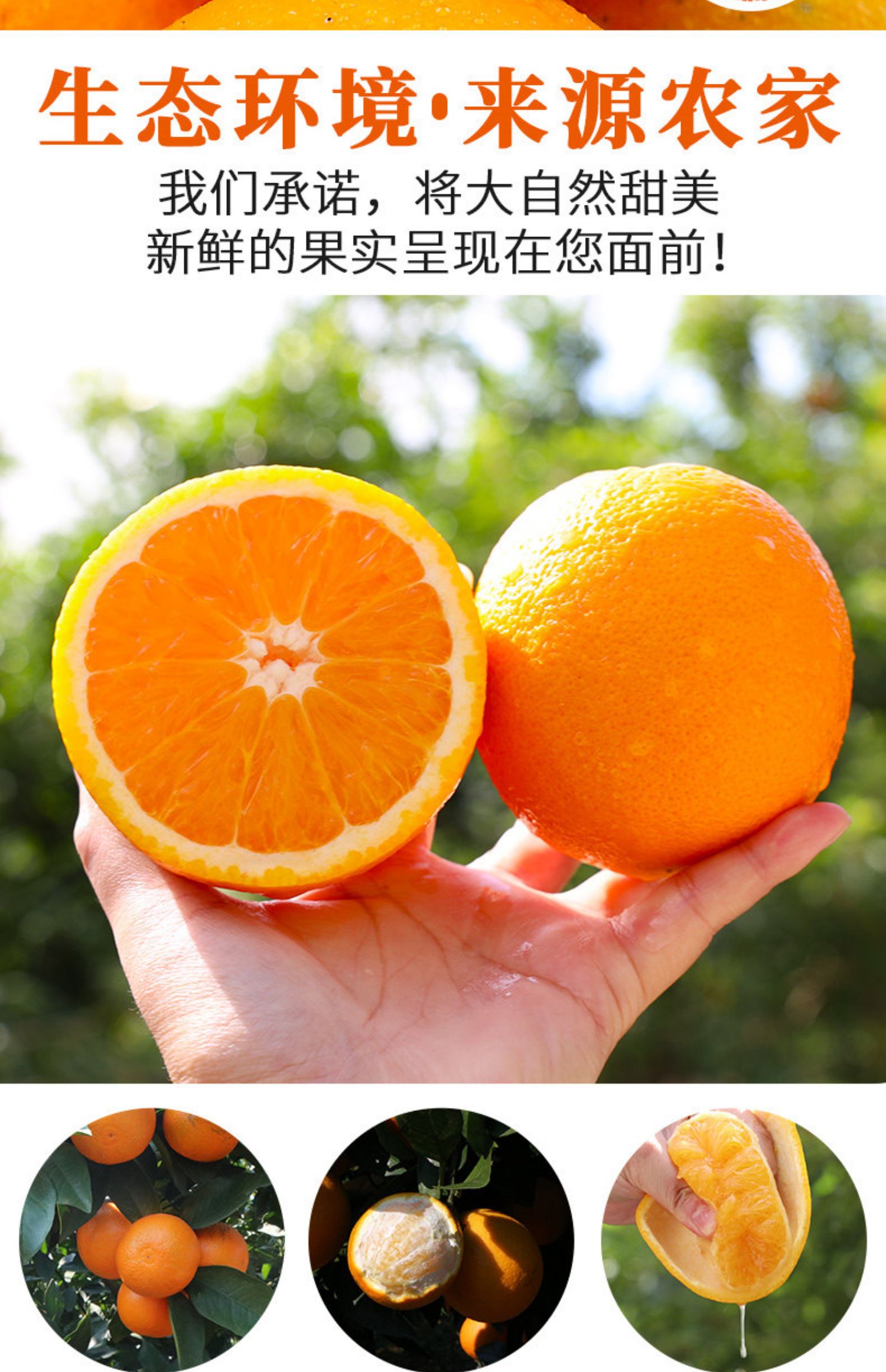 一件代发正宗江西赣南脐橙特级橙子5斤-20斤新鲜水果当季橙子