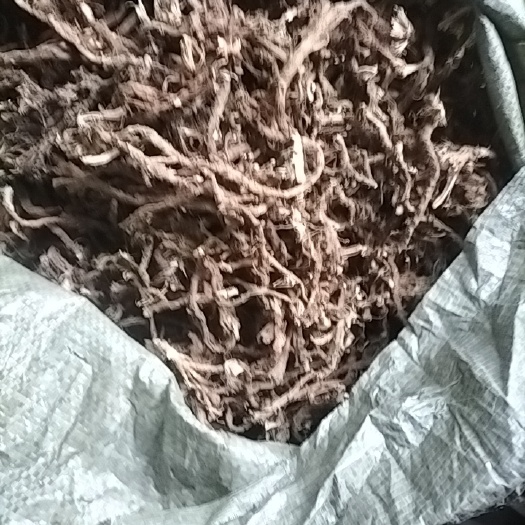 南江县天然石菖蒲