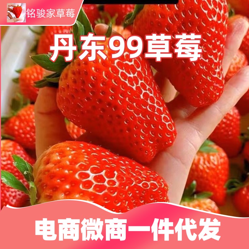 銘駿家草莓
