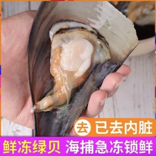 连云港鲜活绿贝江瑶贝冷冻半壳鲜活