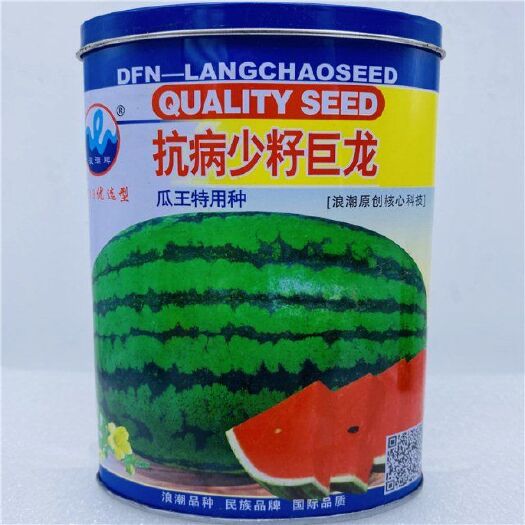 邵东市少籽巨龙王西瓜种籽花皮红壤西瓜种特大高产巨型西瓜种子春四季播