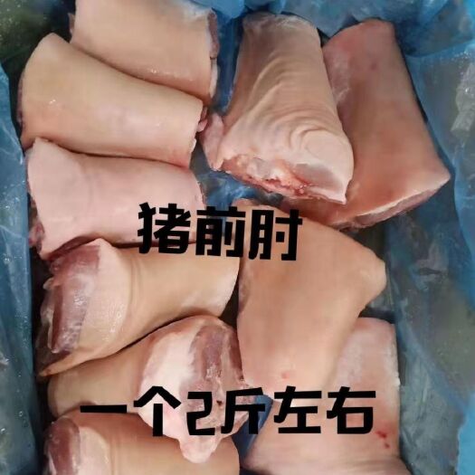 南京冷冻新鲜猪蹄髈 猪肘子 猪前肘子20斤一箱 饭店家庭新