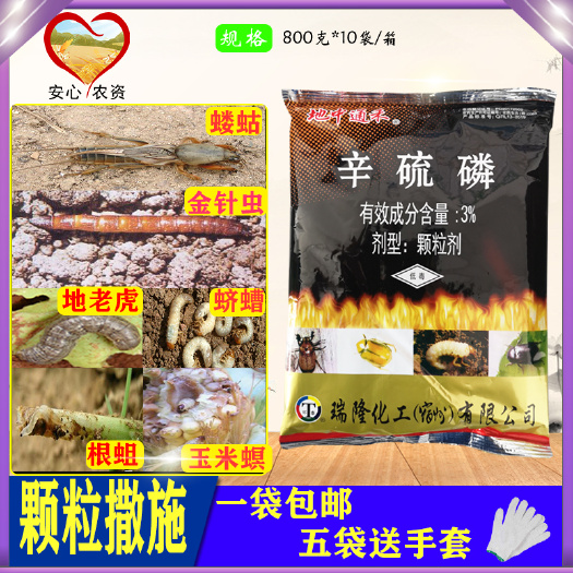 地中通禾辛硫磷颗粒剂地下害虫蔗龟杀虫剂撒施