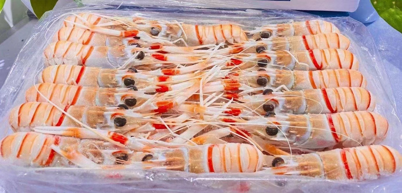广州刺身鳌虾，新西兰鳌虾