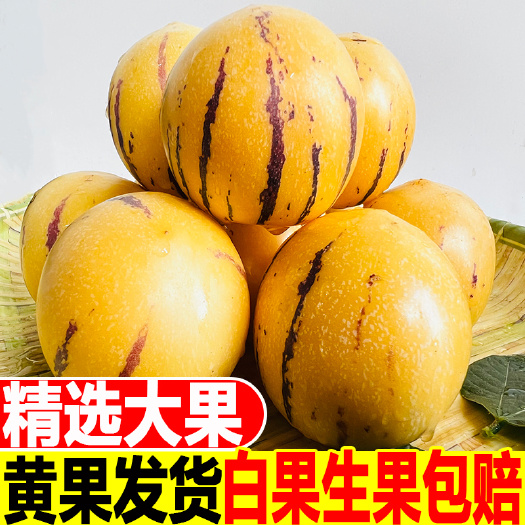 石林县精选石林人参果圆果黄肉5斤【一件代发】