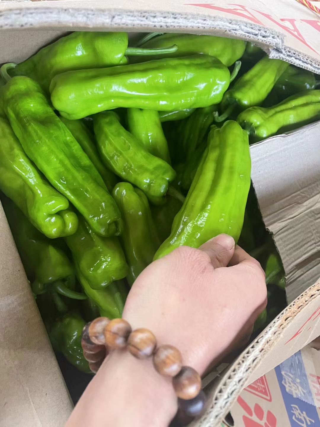 《精品货》芜湖椒，一手货源，产地直发