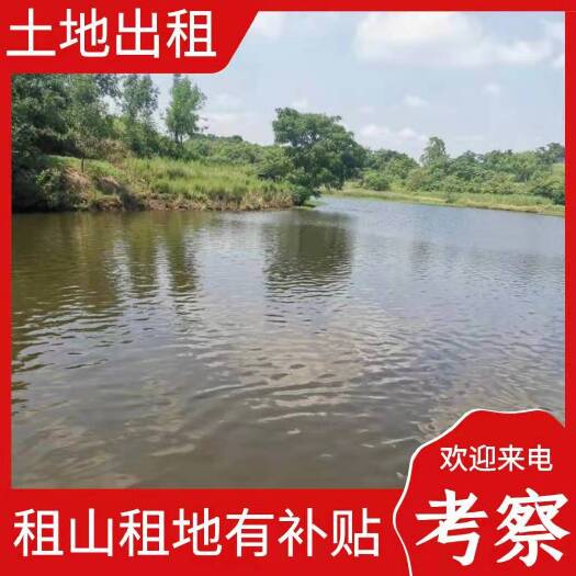 衡南县水库出租，面积：80亩，200亩，60亩