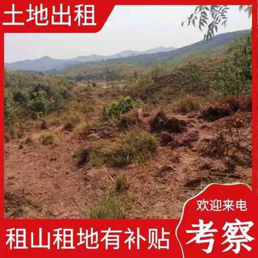 衡南县荒山2000亩，价格：30/亩/年，可租30年