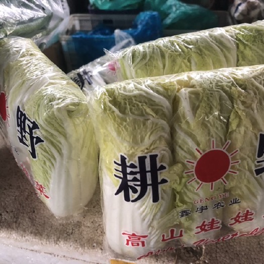 泰安娃娃菜
