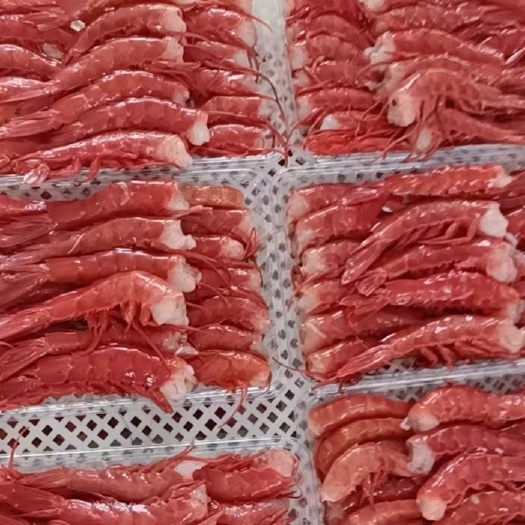 北海国产网红红魔虾尾，可刺身神级美食材料