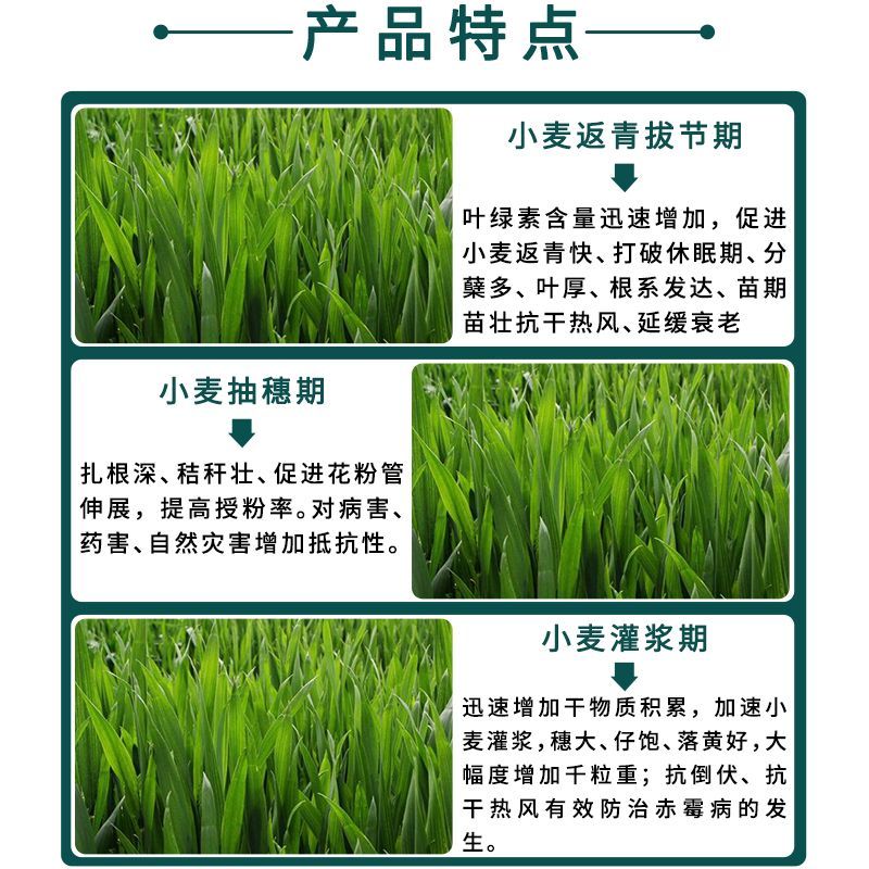 小麦增产专用套餐一喷三防杀虫杀菌防病营养增产锈病蚜虫农药批发