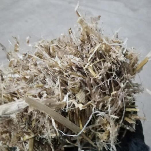 玉米秸秆 揉丝玉米秸秆 干草饲料  牛羊饲草 动物饲料