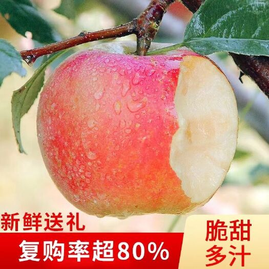 正宗云南昭通冰糖心丑苹果脆甜红富士10斤新鲜应季水果批发一整