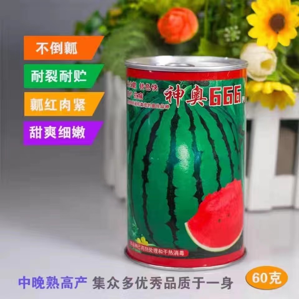 神奥666精品西瓜种子 皮色绿瓤色红产量高皮薄坚韧耐储运甜脆