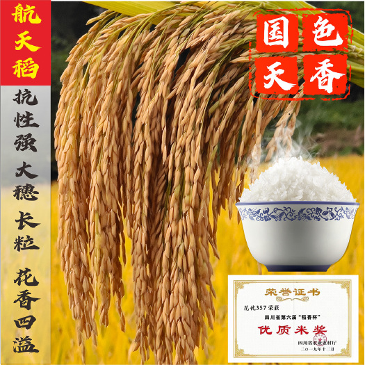 航天水稻种子抗性强高产米质优长粒米杂交水稻种子稻谷种子