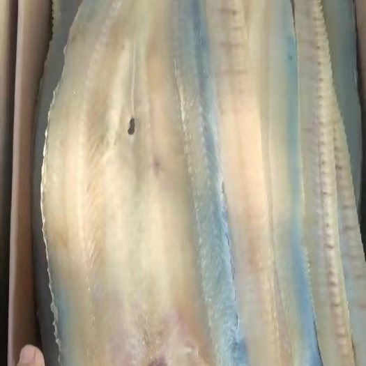 鳗鱼干，鱼干，低盐海鳗鱼干，八成干